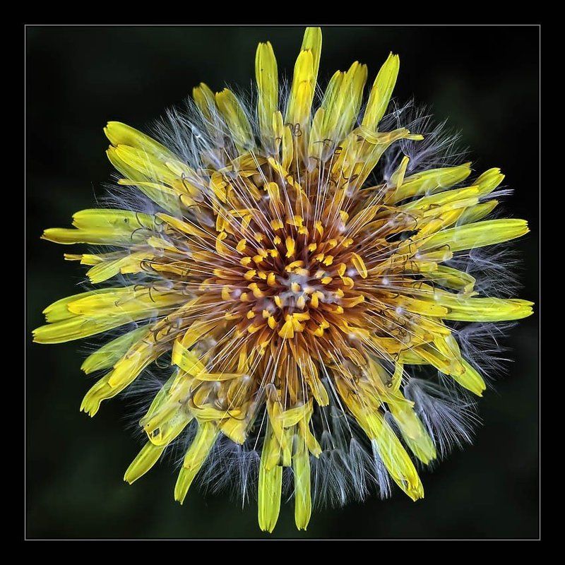 До и псле фото превью