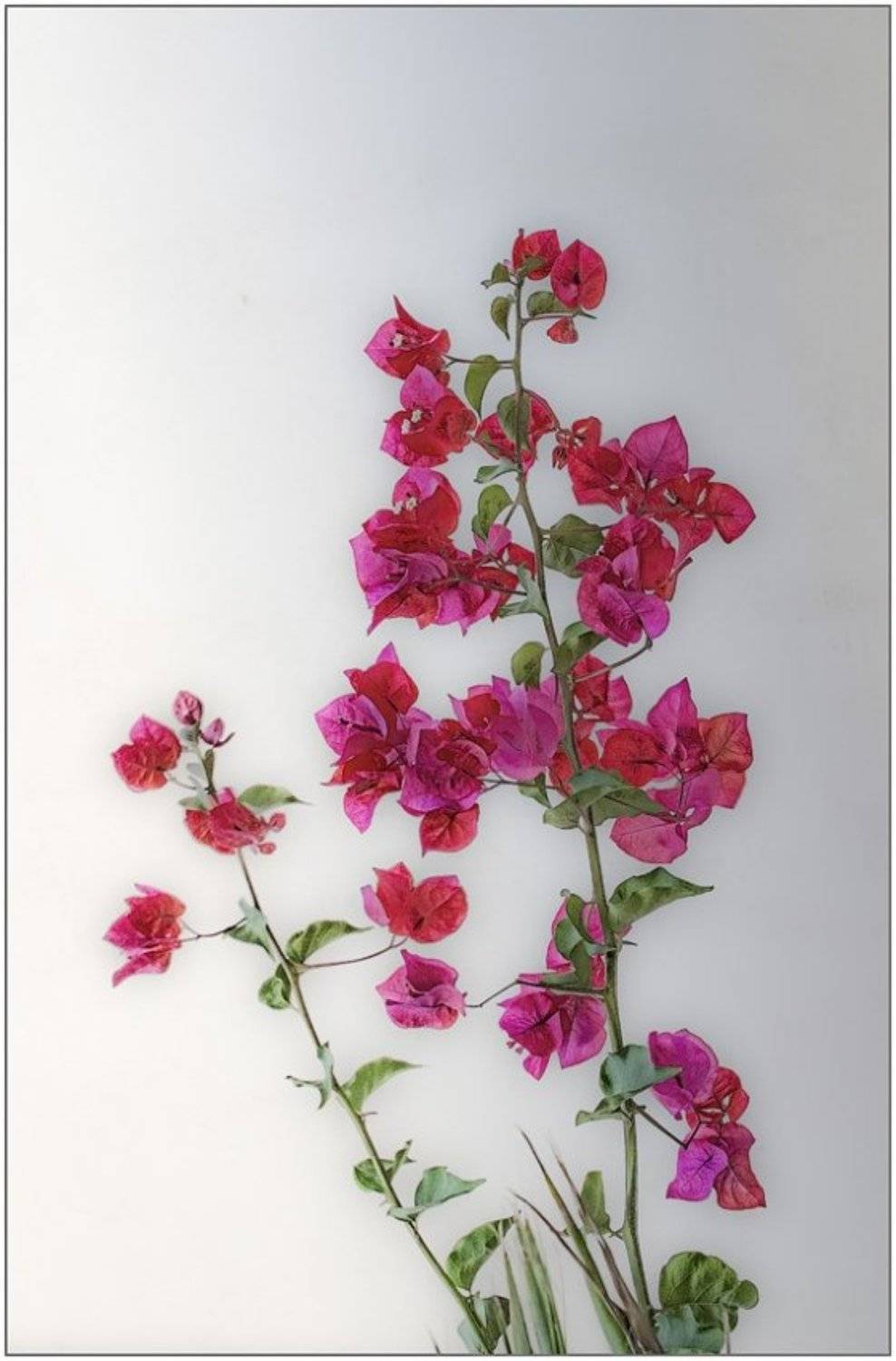 , Сергей Милицкий