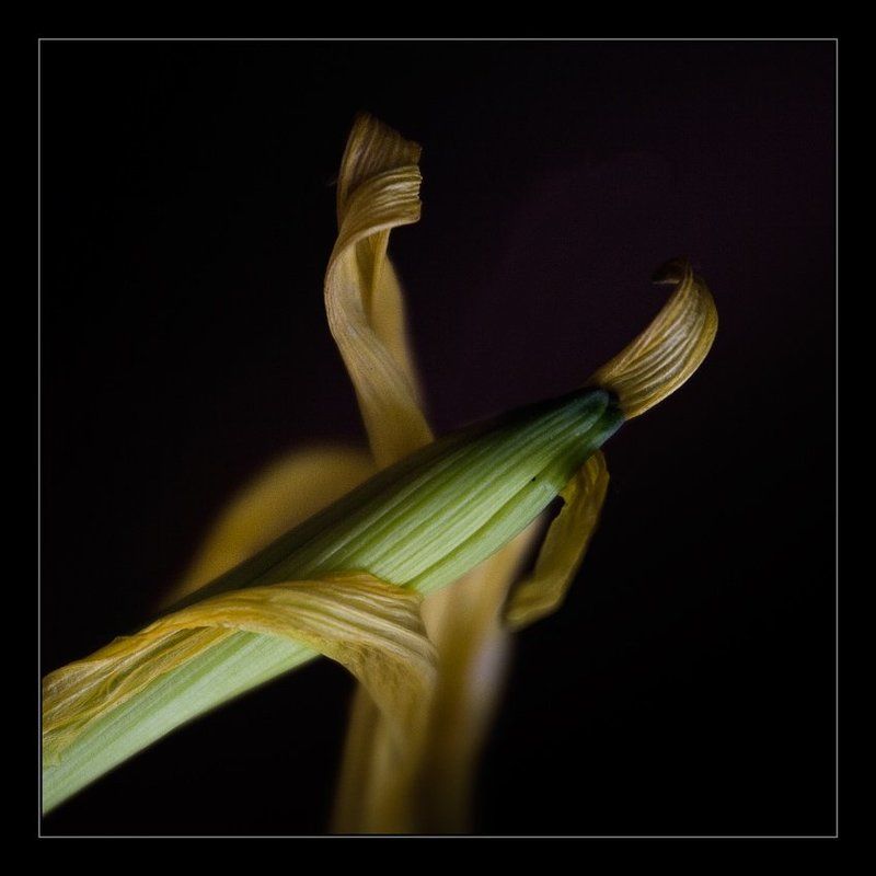 Любовь фото превью