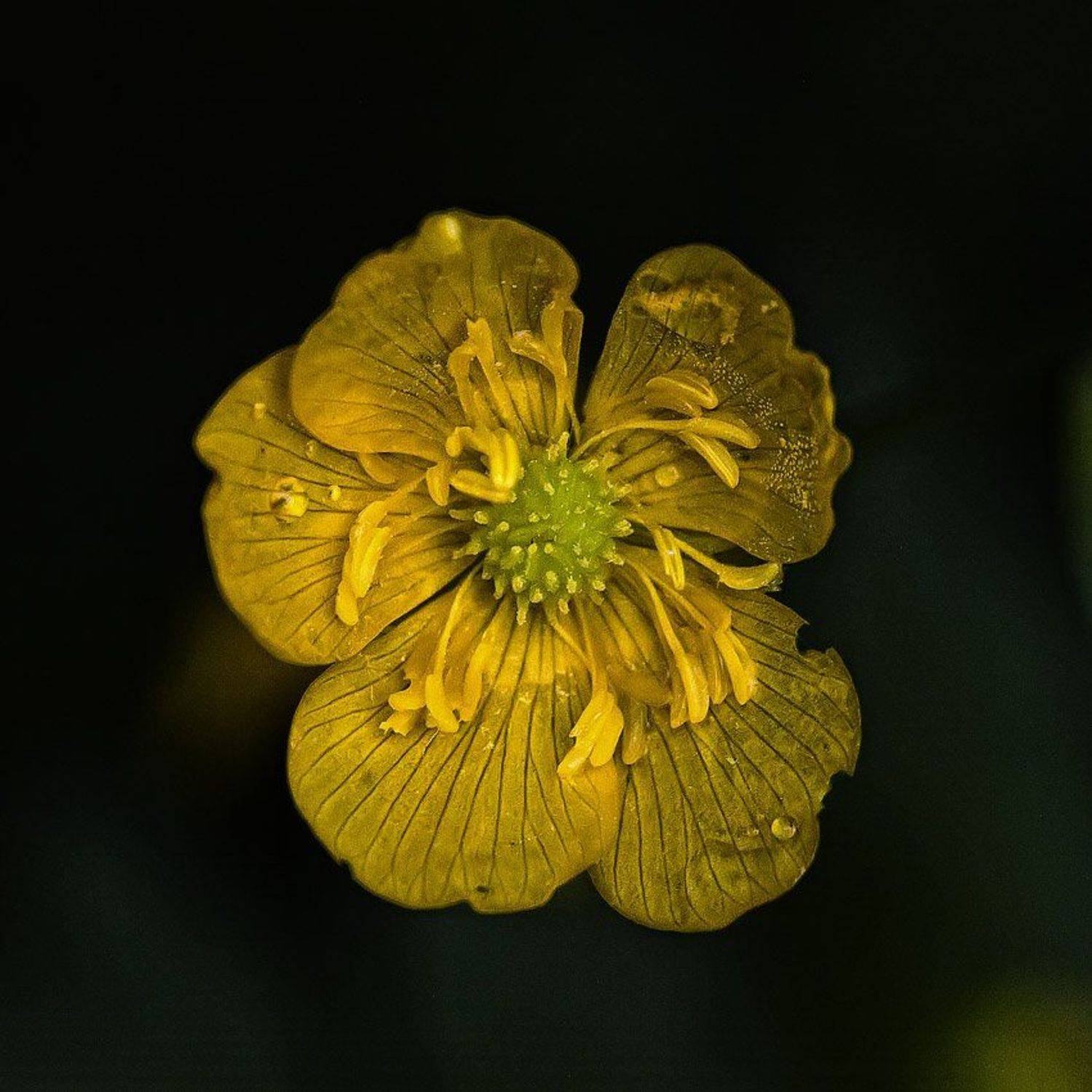 , Сергей Милицкий