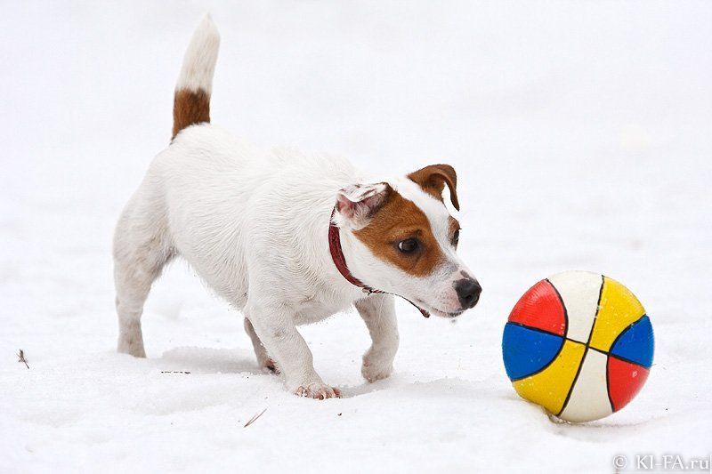 Ой! Что это? фото превью