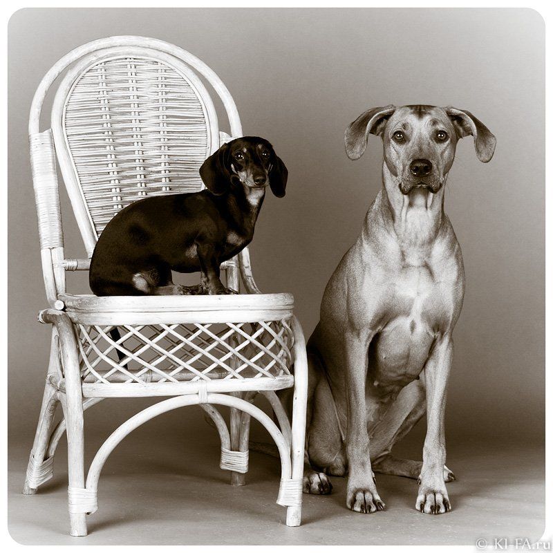 Ретро фото превью