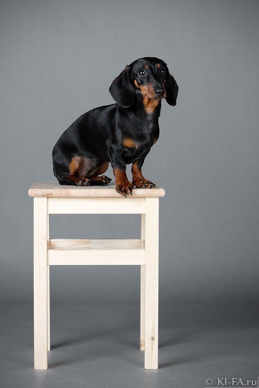 Табуретка фото превью