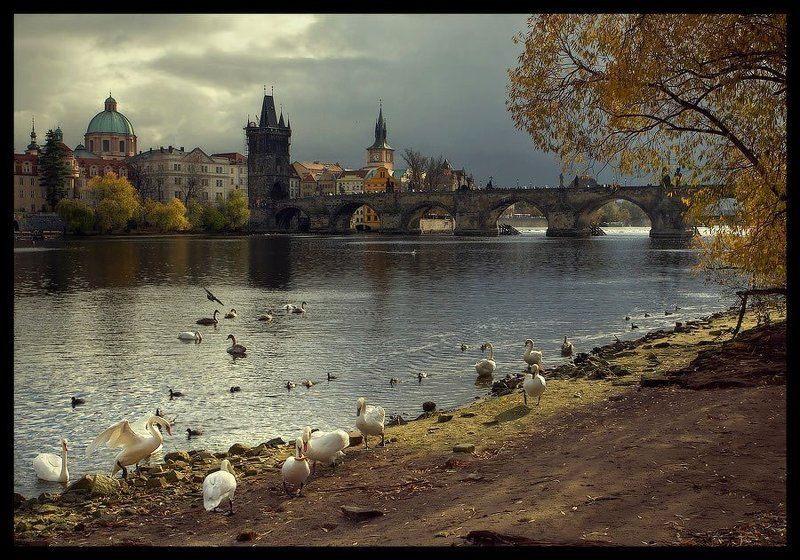 Praga #1 фото превью