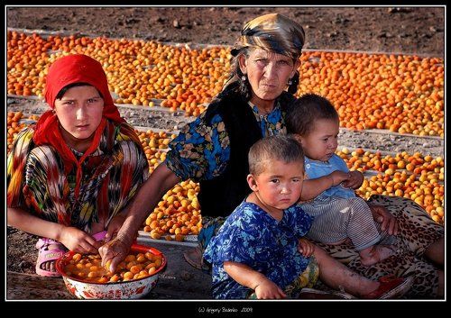 # Кашгарская бабуля #