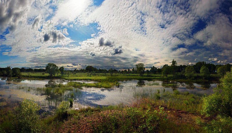 Четырнадцать дней лета фото превью