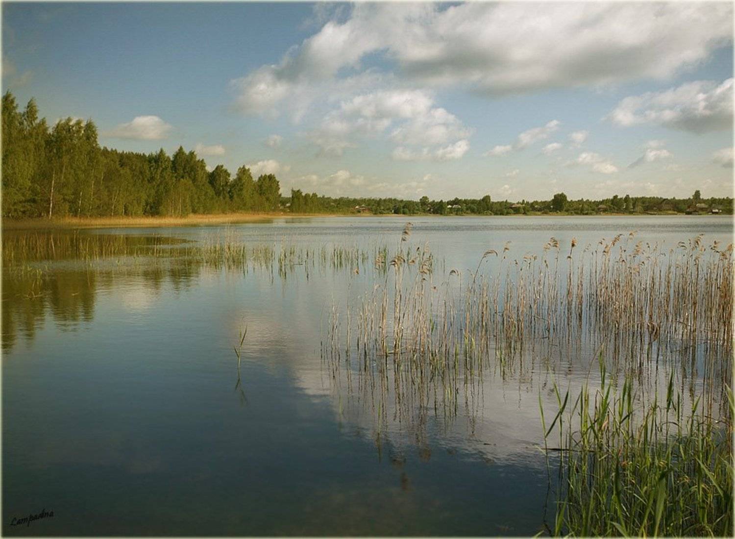 , Lampadina (Svetlana Maximova)