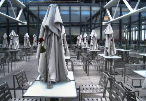 Белое воинство роз (репост)