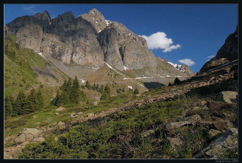 природа,горы,лето,ущелье,лес,цветы,скалы,деревья,трава,облака,река,елки Дорога к ледникам фото превью