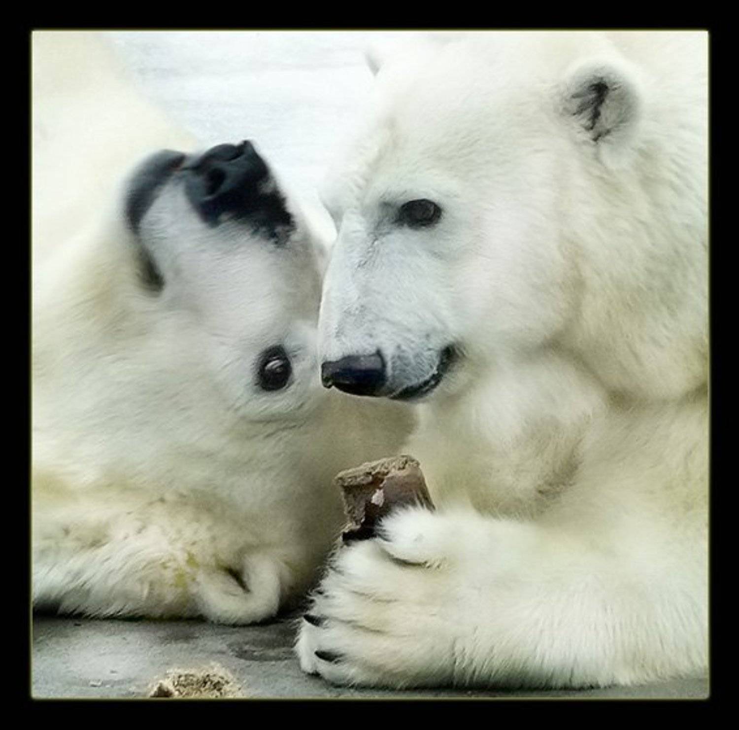 , Костин Евгений