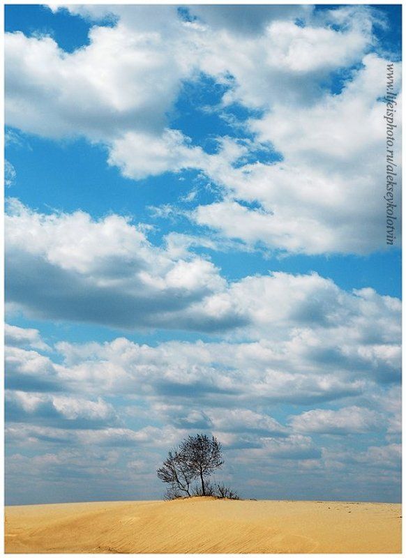 банальность фото превью