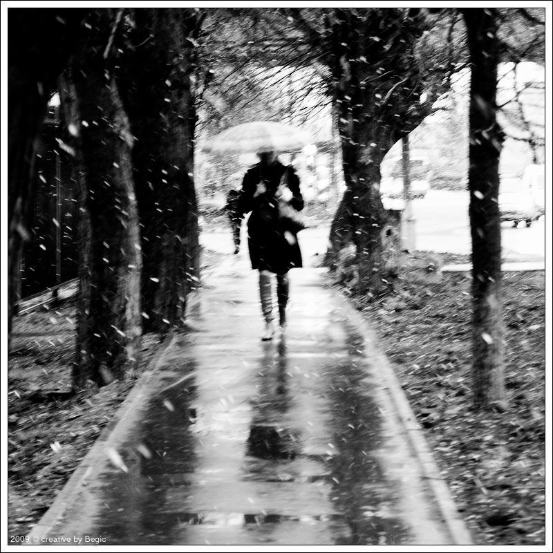 снежный день, чб Один снежный день фото превью