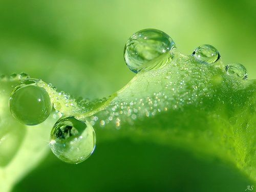 Приглашаю на свою фотовыставку!