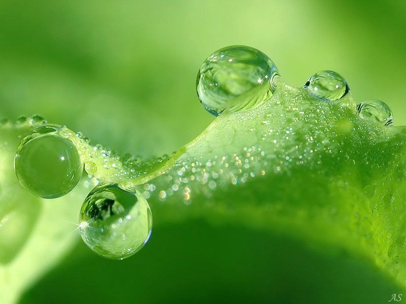 фото, радость, выставка Приглашаю на свою фотовыставку! фото превью