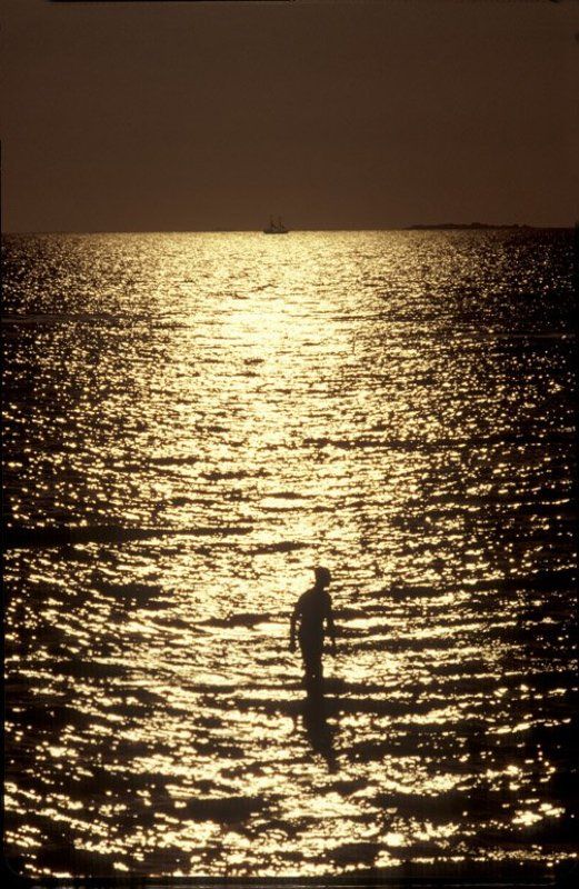 ,фотоплёнка,негатив Ихтиандр. фото превью