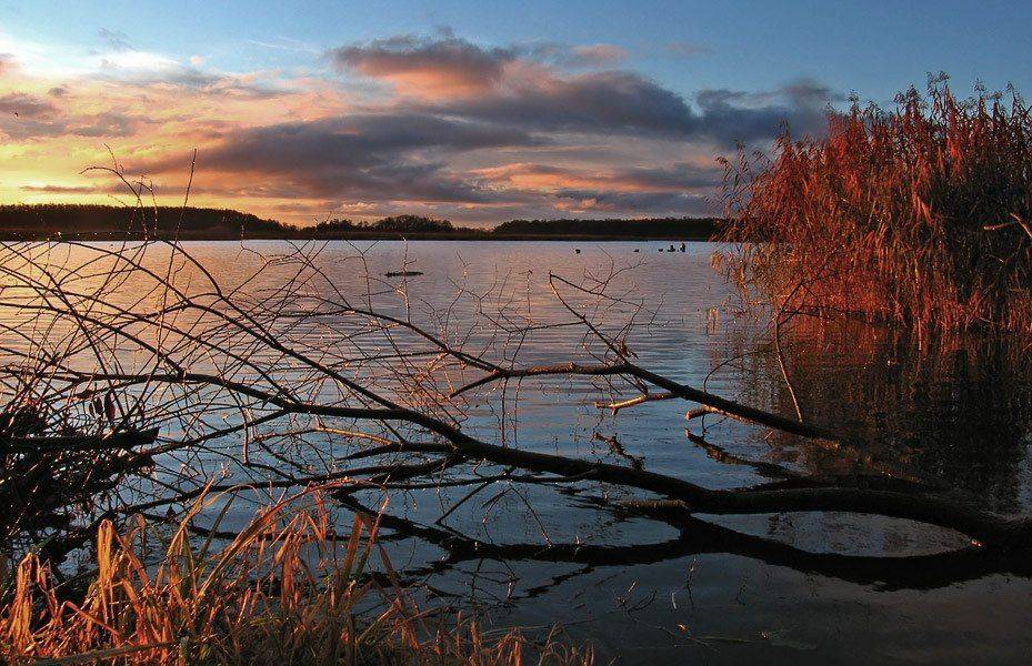 , Павел Дунюшкин
