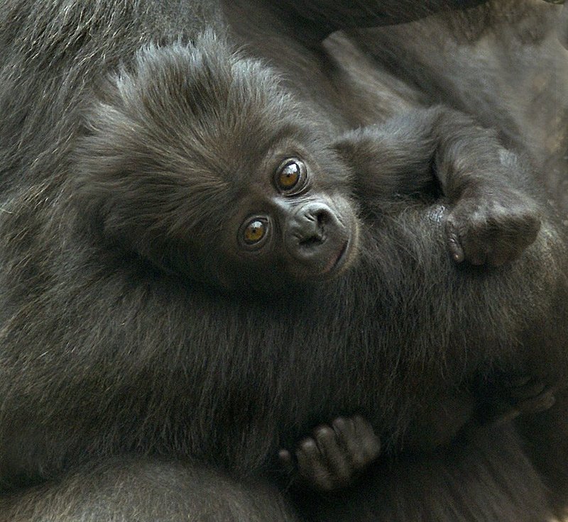 Взгляд на мир фото превью