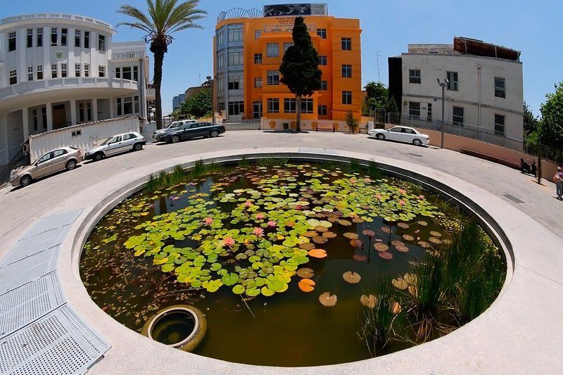 Маленькое болотце, приятное во всех отношениях фото превью