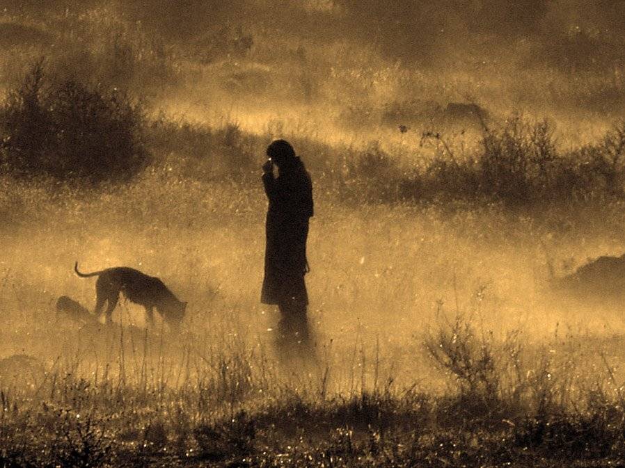 , ВИТАЛИКЪ ФОМЕНКО