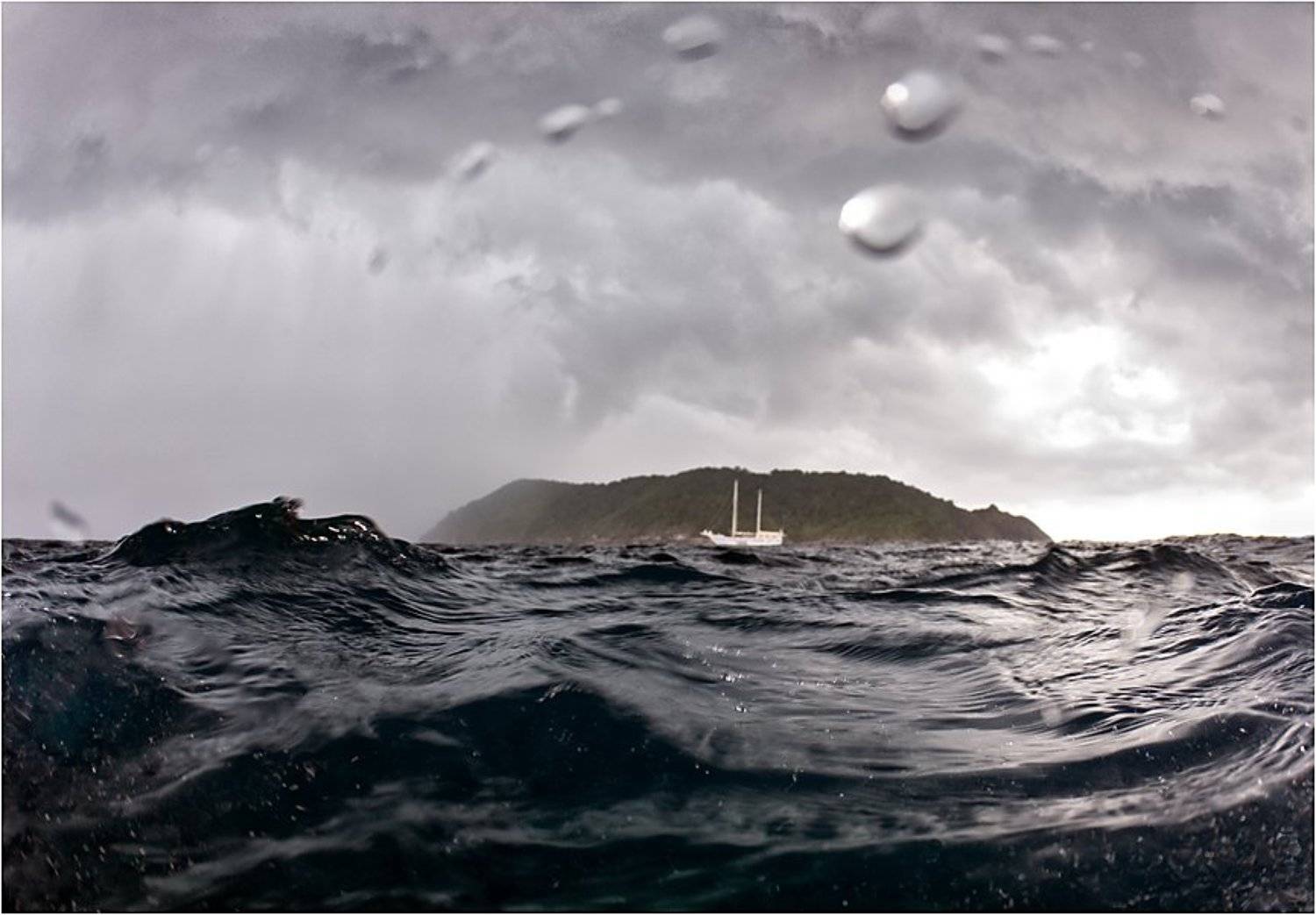 sos, Сергей Шанин