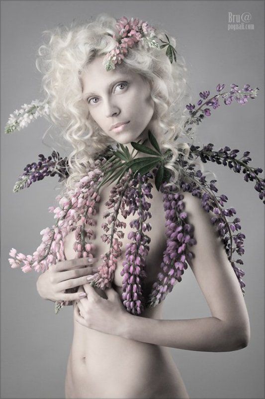 девушка, люпины Люпины фото превью