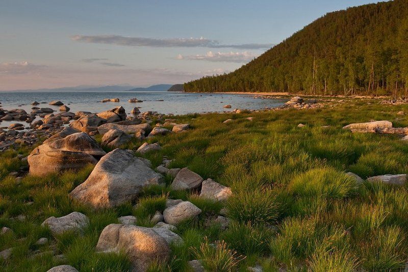 бурятия, байкал, максимиха, трава, камни, вечер  фото превью