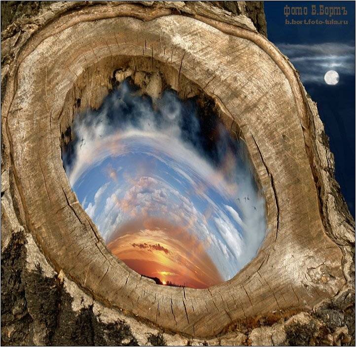 кухня, погоды, дупло, ночь, Boris Bort