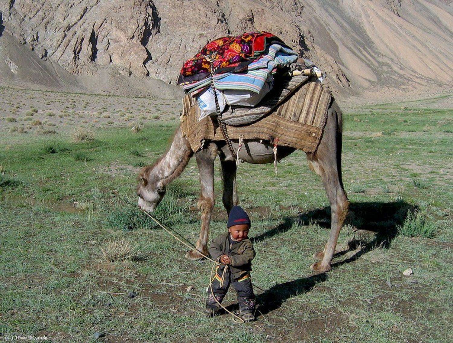 горы, китай, каракорум, ребенок, киргиз, верблюд, Иван Жданов