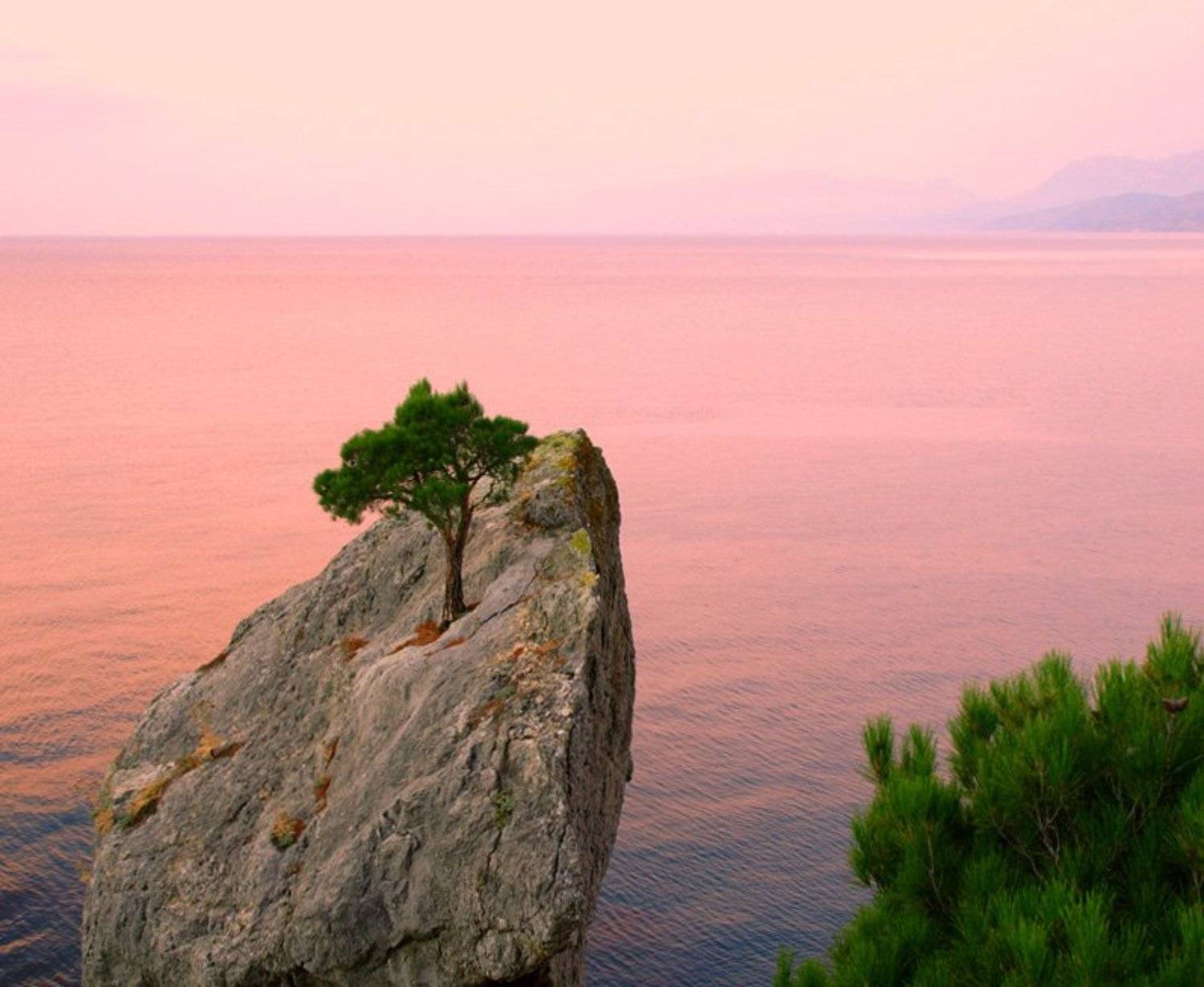 , Андрей  Золочевский