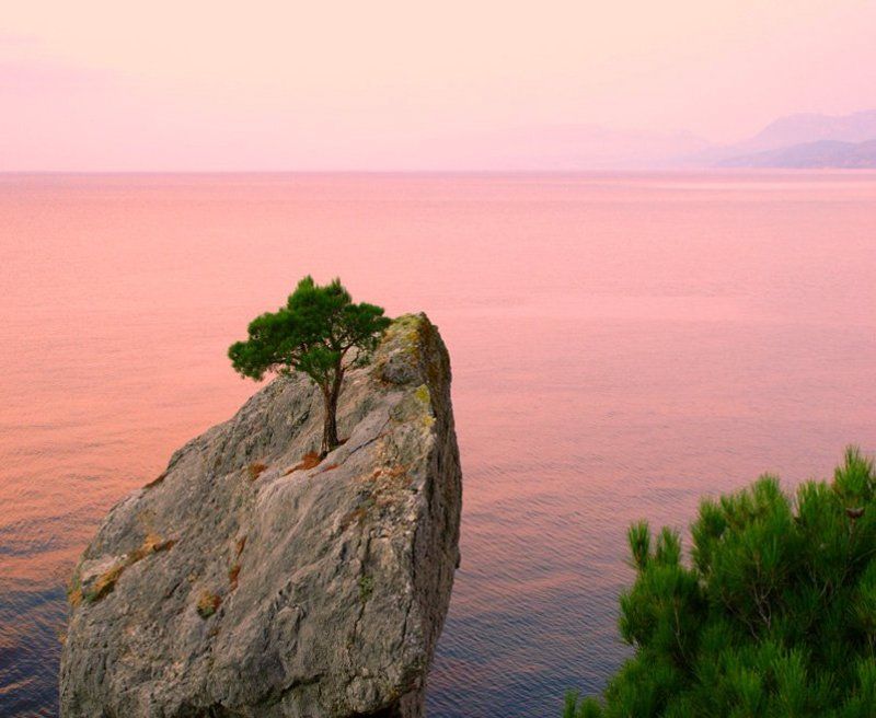 утро под Караул Оба фото превью