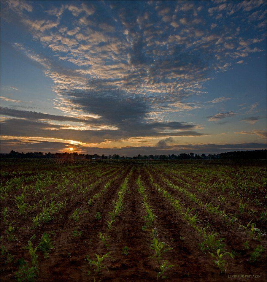 , Виктор Перякин