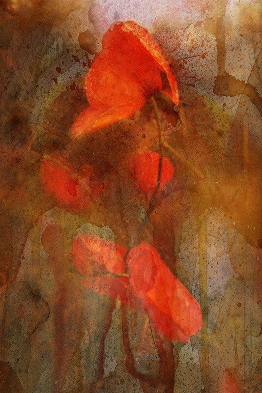 * : * фото превью