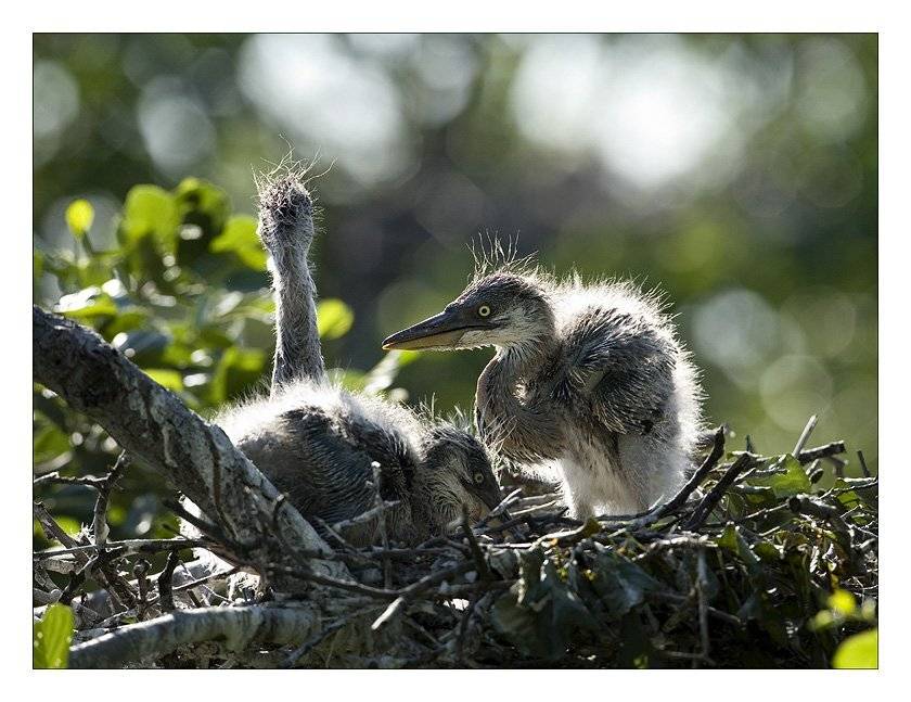 , Нарчук Андрей