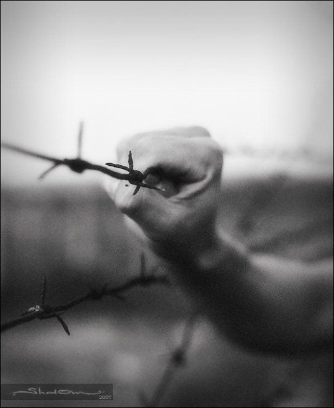 shd, www.shad0w.ru  фото превью