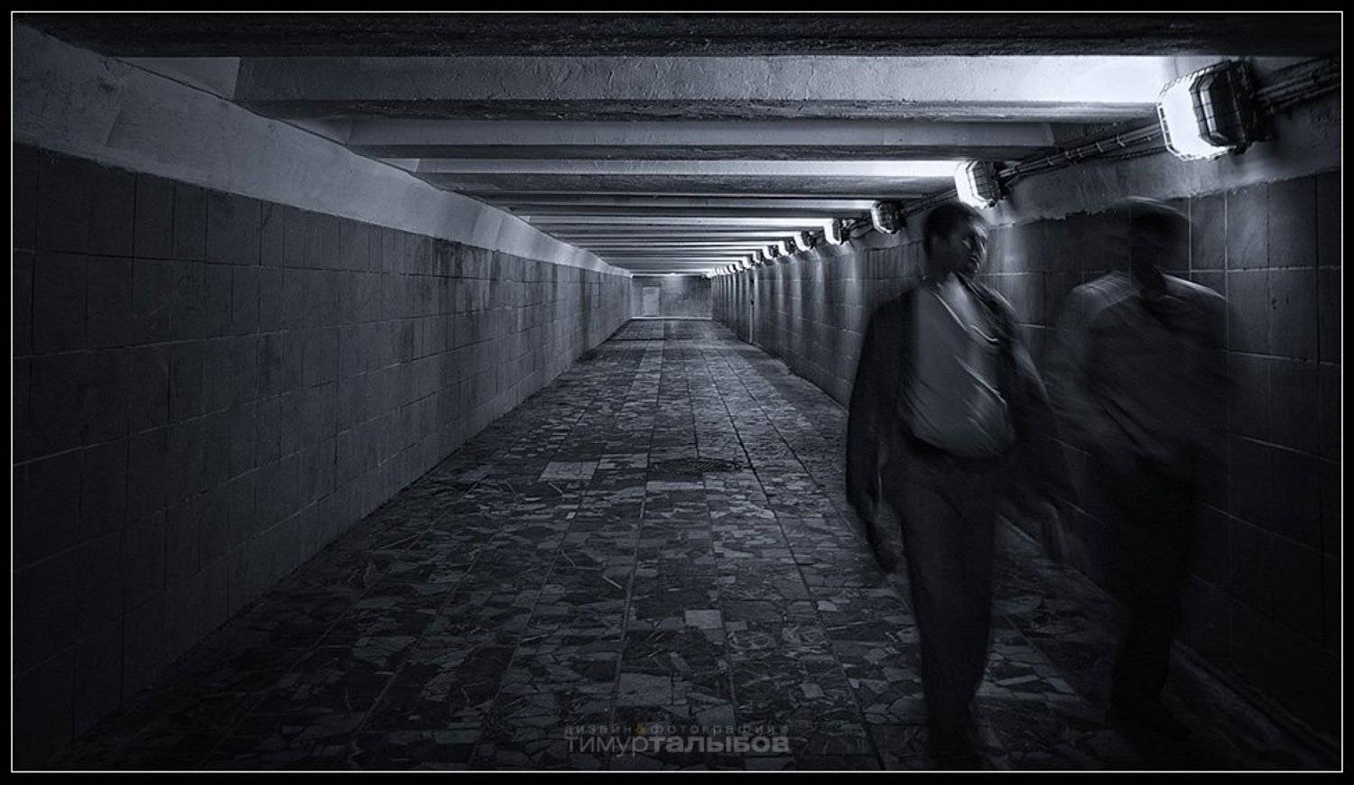 , Тимур Талыбов