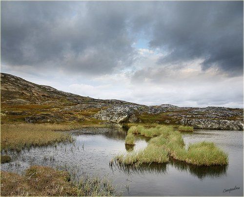 Лохнесское чудовище переехало?)