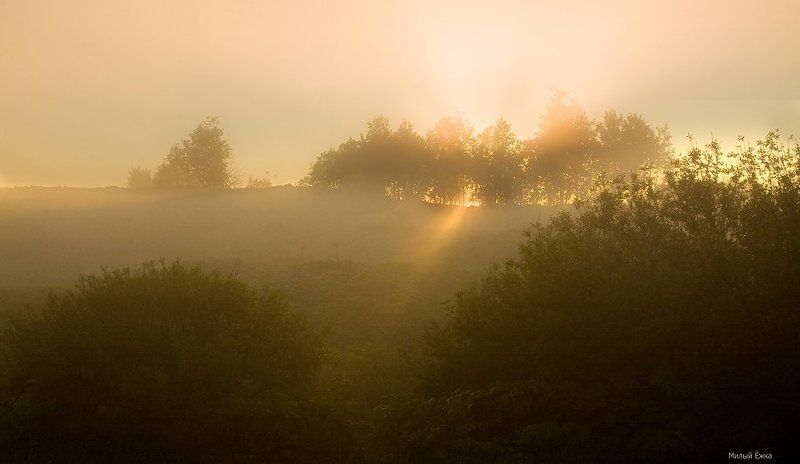 день очистки водоемов, туман Каждый луч дрожит пробуждением... фото превью