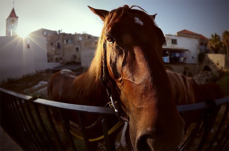 Ещё один вечер фото превью
