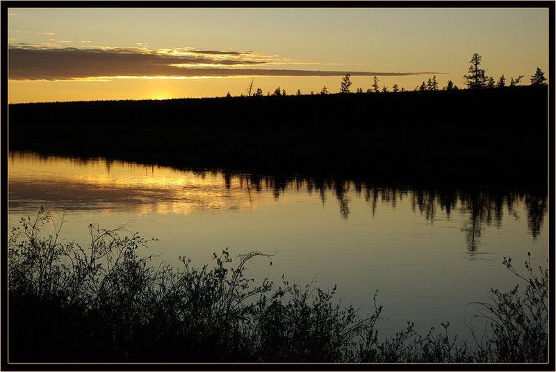река, ночь, тайга, якутия Белая ночь фото превью
