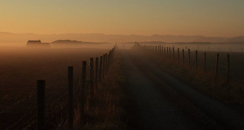 туман, рассвет на рассвете фото превью