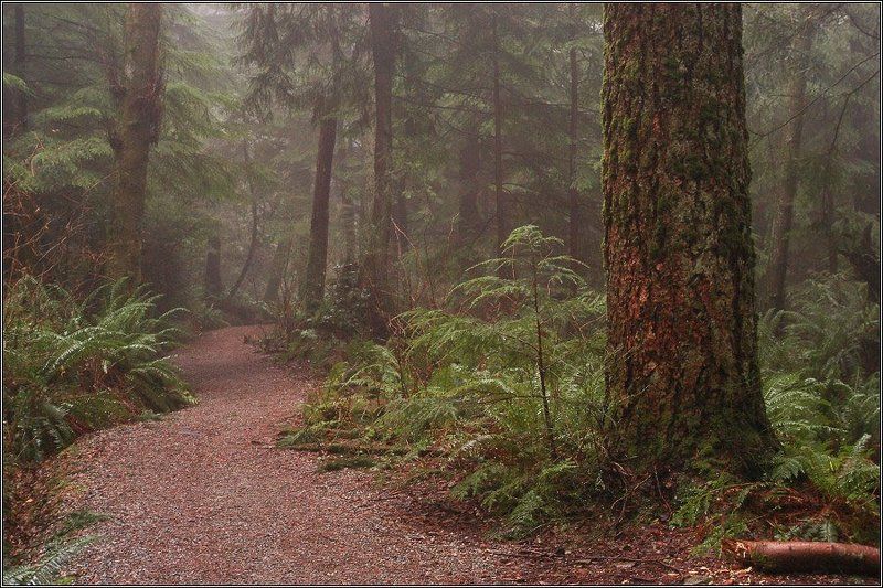 Дорога к Берендею фото превью