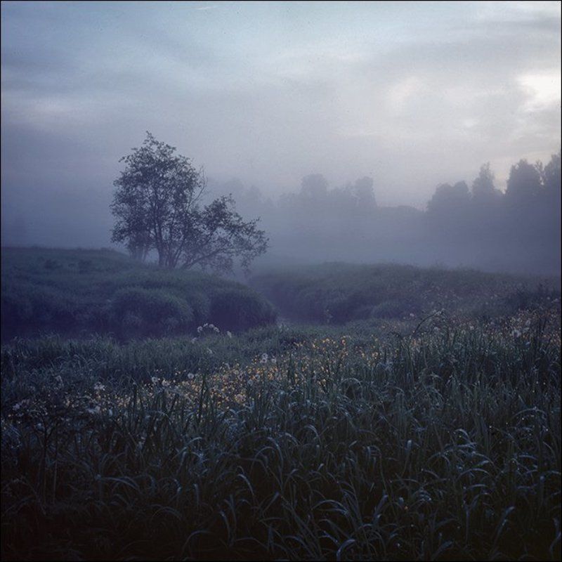 Утренняя летняя слайдовая картинка с травой и деревьями на повороте речки в Середниково фото превью