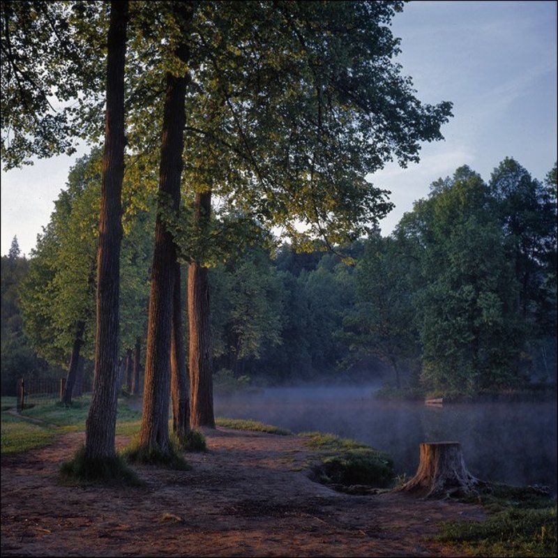 Утренняя слайдовая картинка с видом на пень у середниковского пруда с запада фото превью