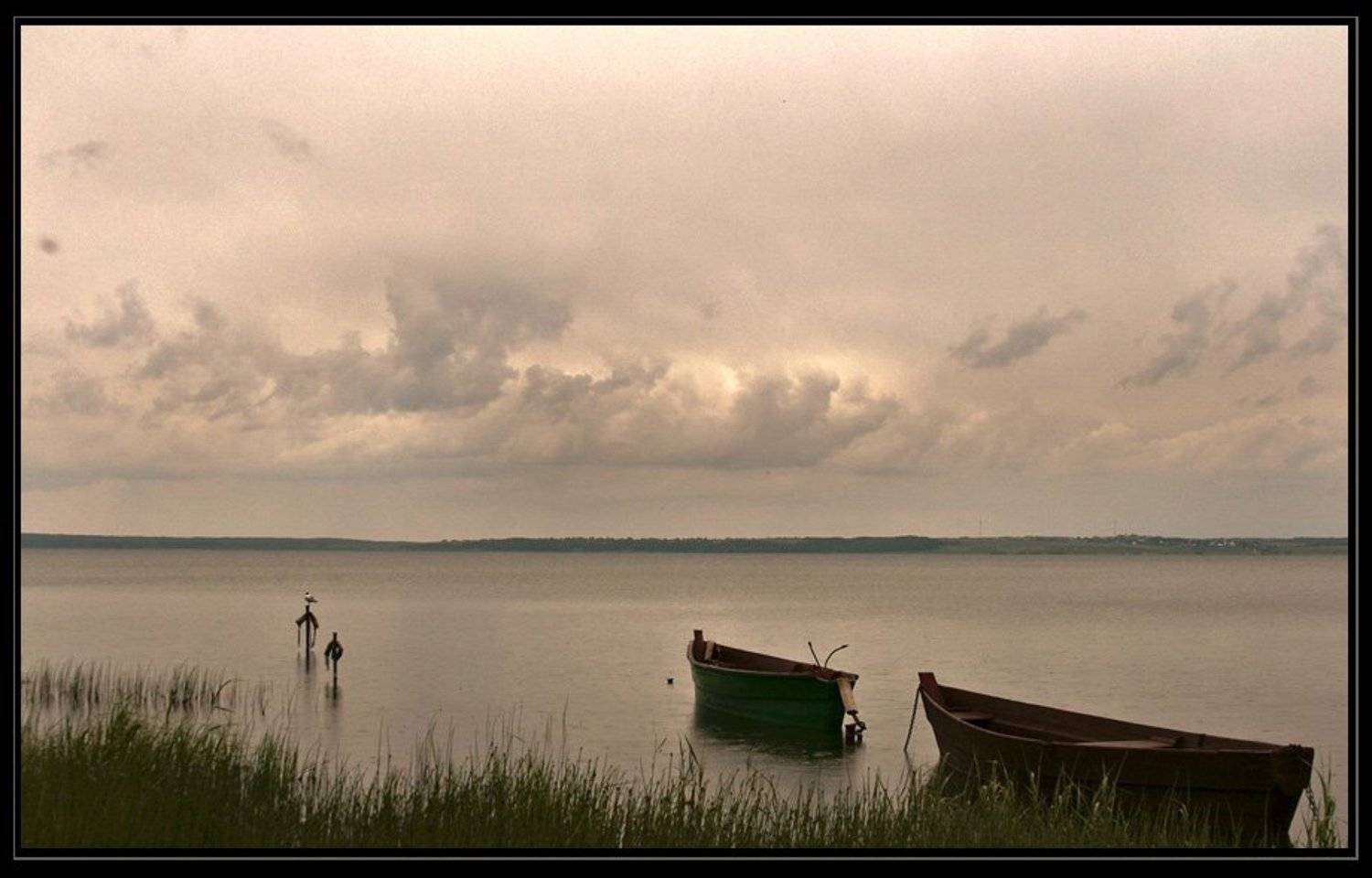 , Александр Сухотин