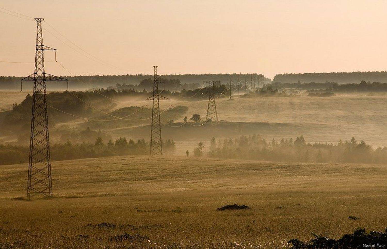 день очистки водоемов, туман, Милый Ёжка