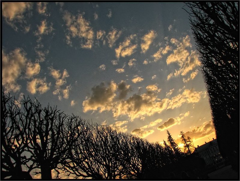 Екатерининский парк. Аллея на закате фото превью