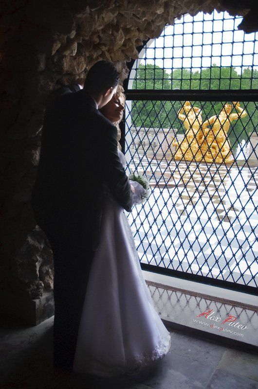 свадьба,петергоф,путешествие,молодожены Дождь - Счастью не помеха ... фото превью