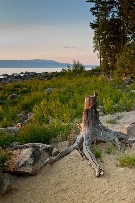 бурятия, байкал, максимиха, трава, камни, коряга, вечер  фото превью