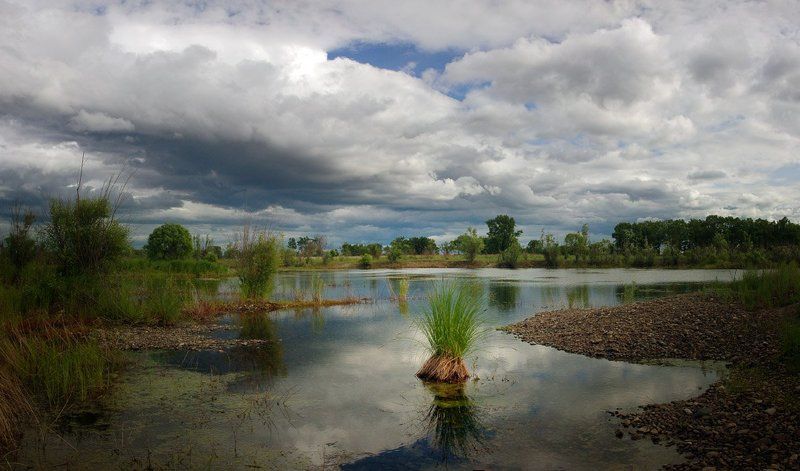 я мечтала о морях и кораллах... фото превью