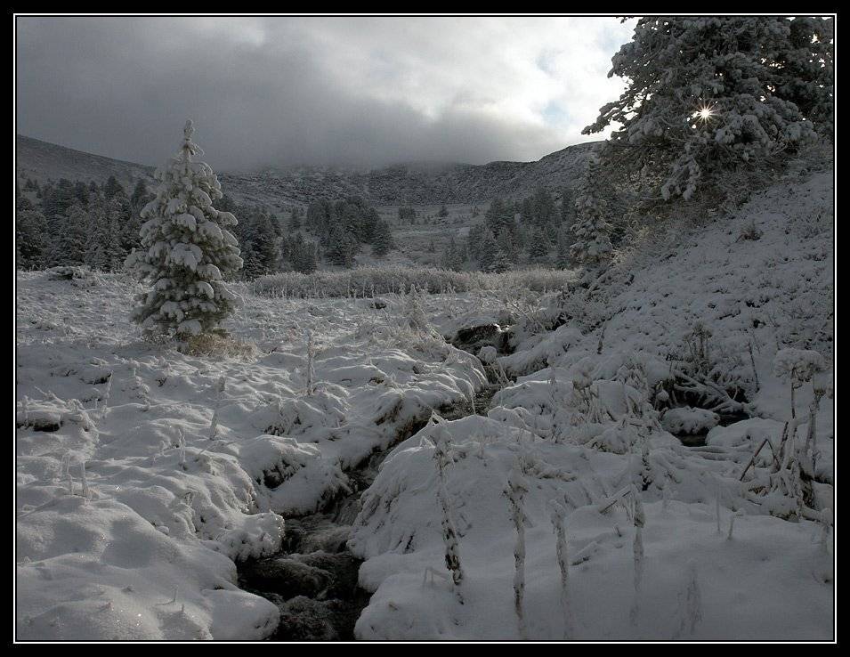, Юрий Фролов